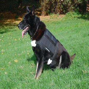 best weight vest for dogs