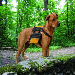 best weight vest for dogs