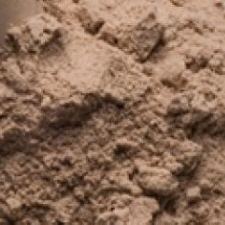 Best Whey Protein Powder to lose weight